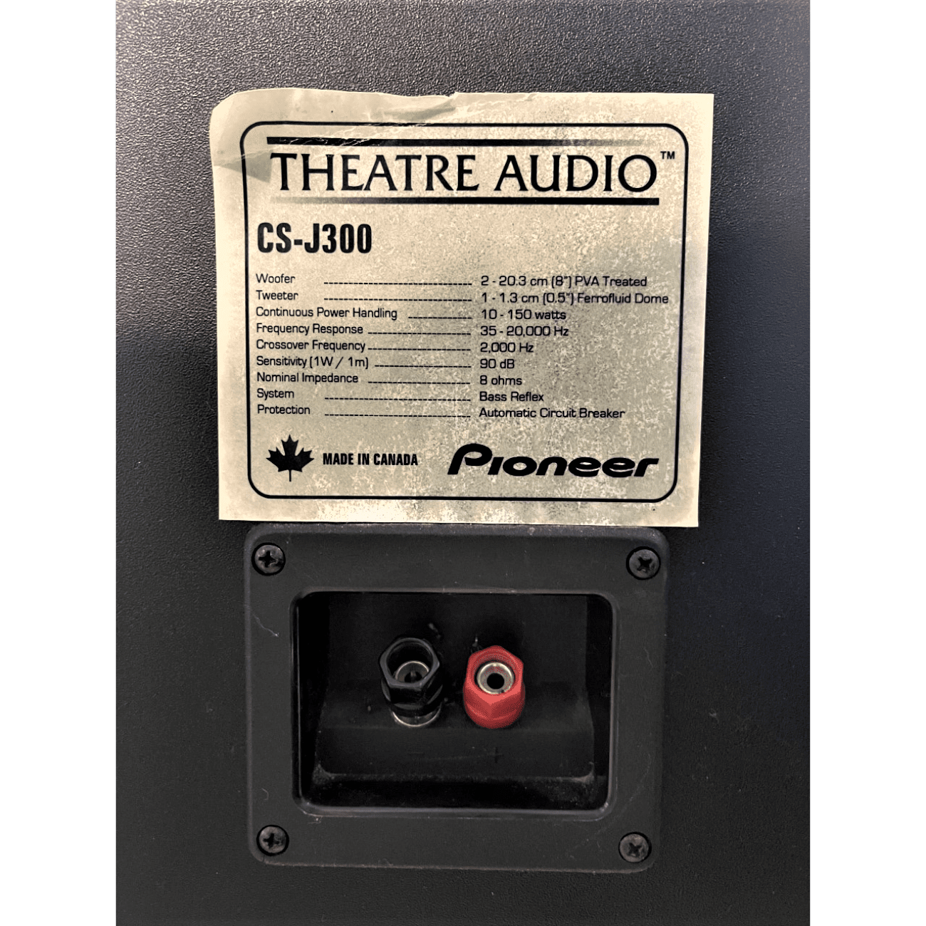 Pioneer CS-J300 Floorstanding Speakers (USED)