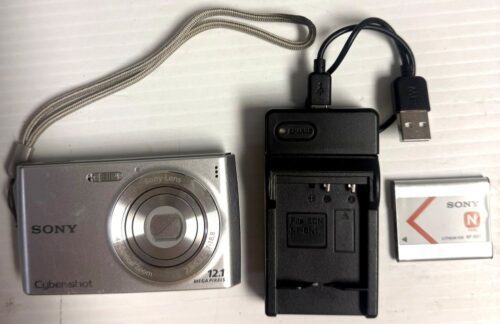 Sony Cyber-Shot DSC-W510 12.1MP Digital Camera with 4X Optical Zoom (Silver) (USED)